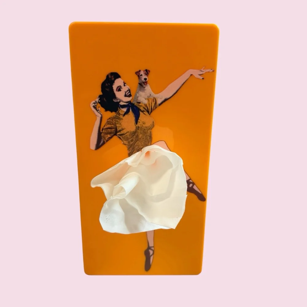 Retro Pin Up Girl Flying Skirt Tissue Box Dispenser Wall Mount Set Orange Teal